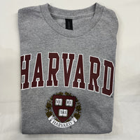 HARVARD / ADULT / T-SHIRT / PRINT / GRAY