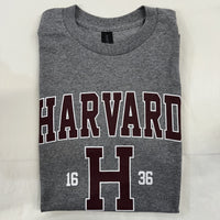 HARVARD / ADULT / T-SHIRT / GRAPHITE