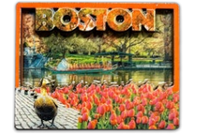Boston Public Garden Photo Bilevel