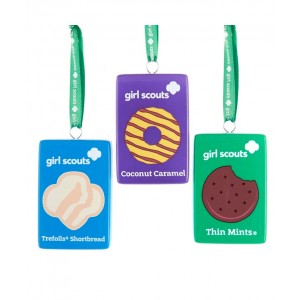3"Girl Scouts Of Usa Cookie Box 3/A