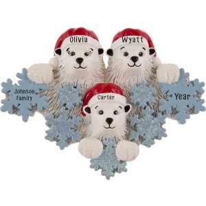 Polar Bear Snowflake Family of 3 Personalized Christmas Ornament 